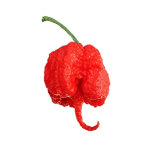 Caroline Reaper