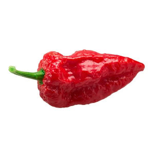 Ghost Pepper