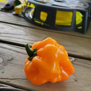 Habanero